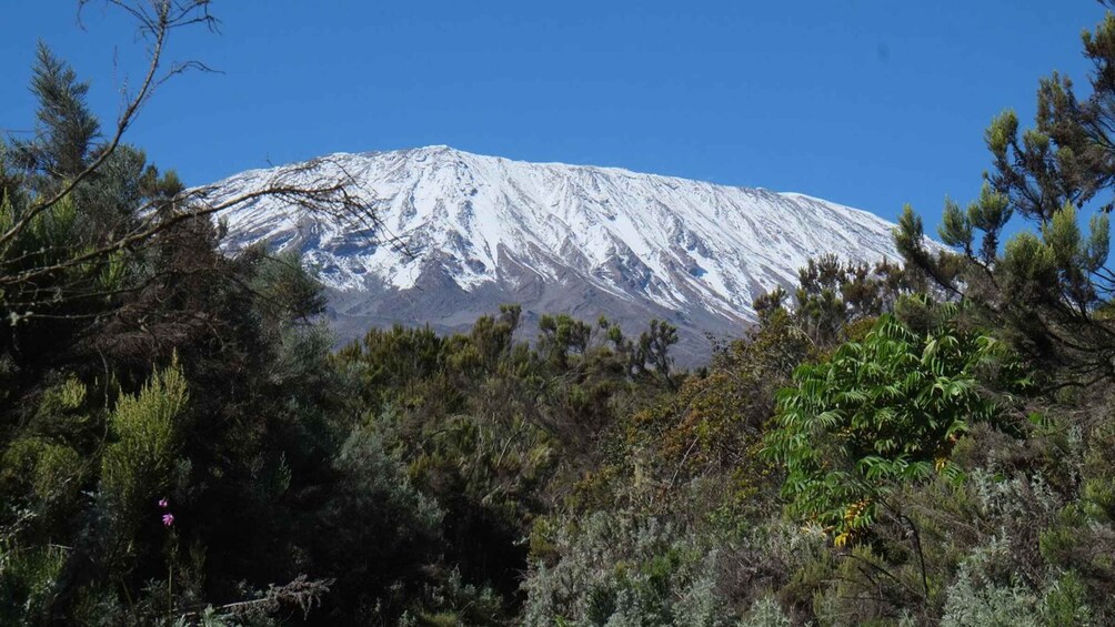 Mount Kilimanjaro one day hike to base camp for small group