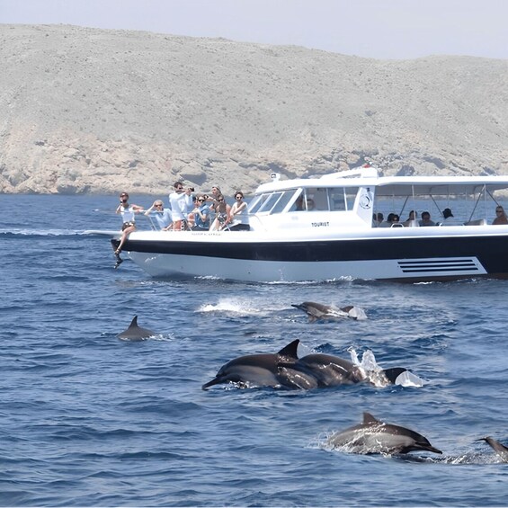 Picture 7 for Activity Muscat: Dolphin Watching and Snorkeling Trip