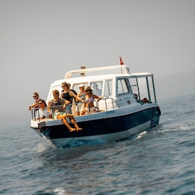 Muscat: Dolphin Watching and Snorkelling Trip