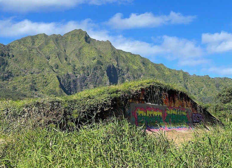 Picture 17 for Activity Oahu: Hidden Hawaii Waterfall Hike and Beach Tour