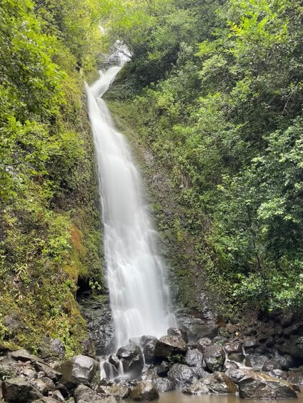 Picture 7 for Activity Hidden Hawaii Waterfall Hike & Beach Tour (pickup + photos!)