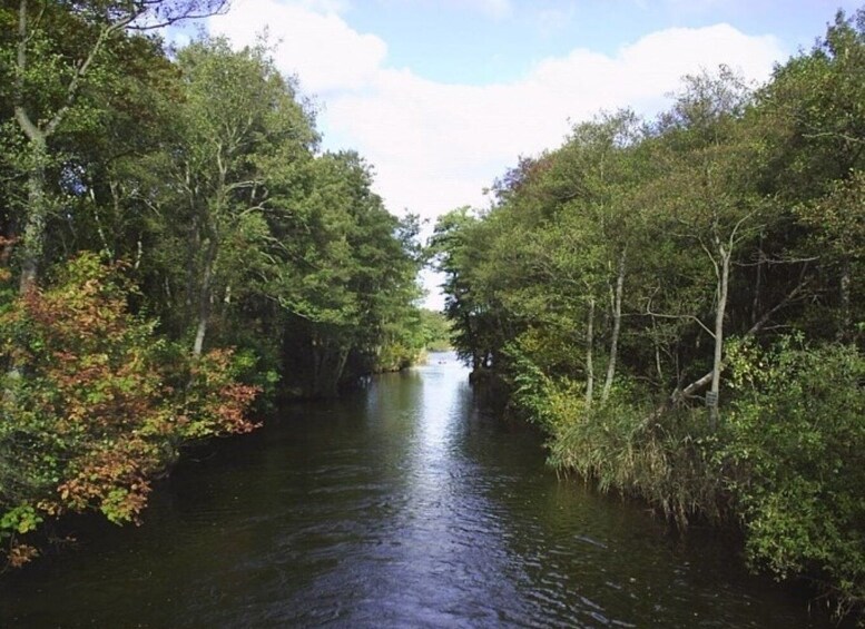 Picture 4 for Activity From Malchow: 4-lake Trip to the Jabeler Waldsee