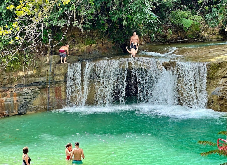 Picture 17 for Activity 3in1: Los Haitises N P + Yanigua Waterfall + Montaña Redonda