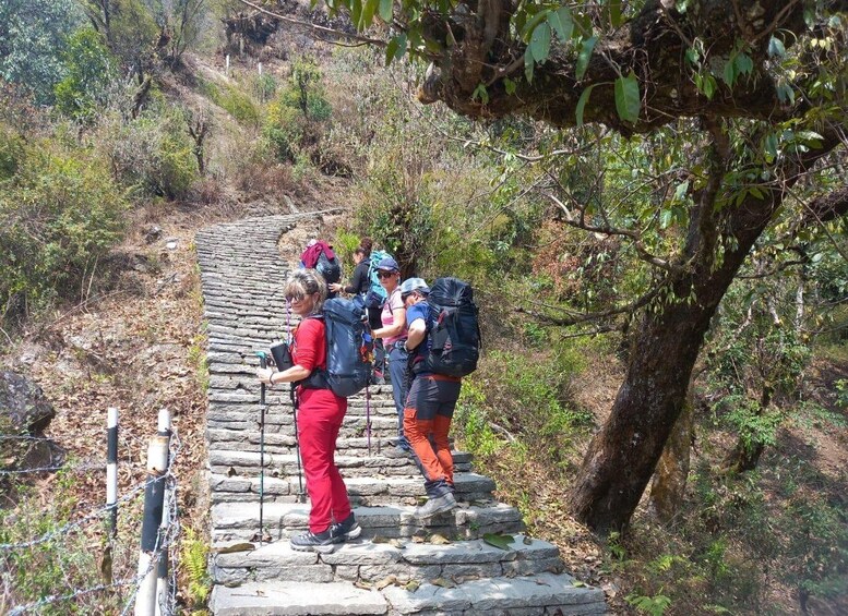 Picture 1 for Activity From Kathmandu: 7-Day Annapurna Basecamp Trek