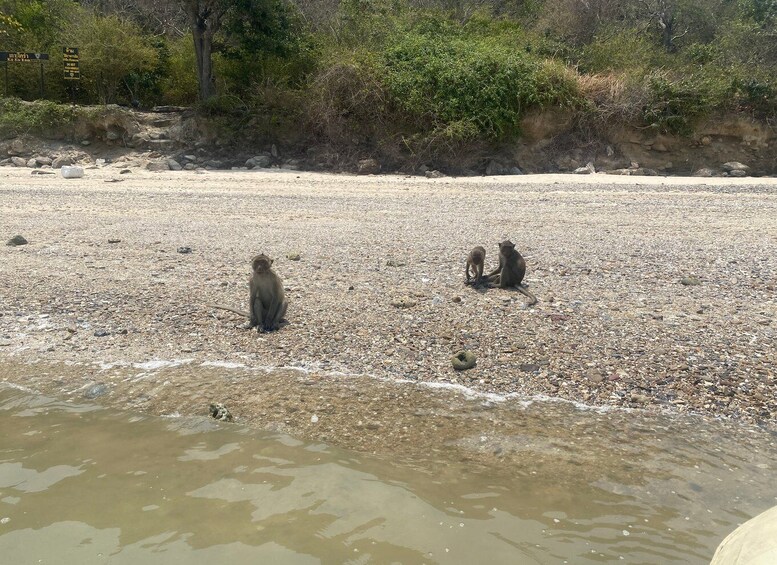 Picture 12 for Activity Hua Hin: Full-Day Trip to Sam Roi Yot by Sail Boat