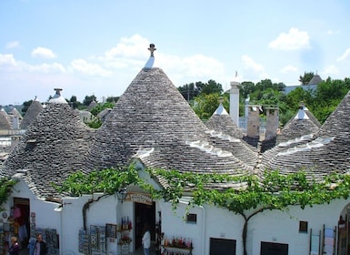 From Lecce: Valle d'Itria private day tour