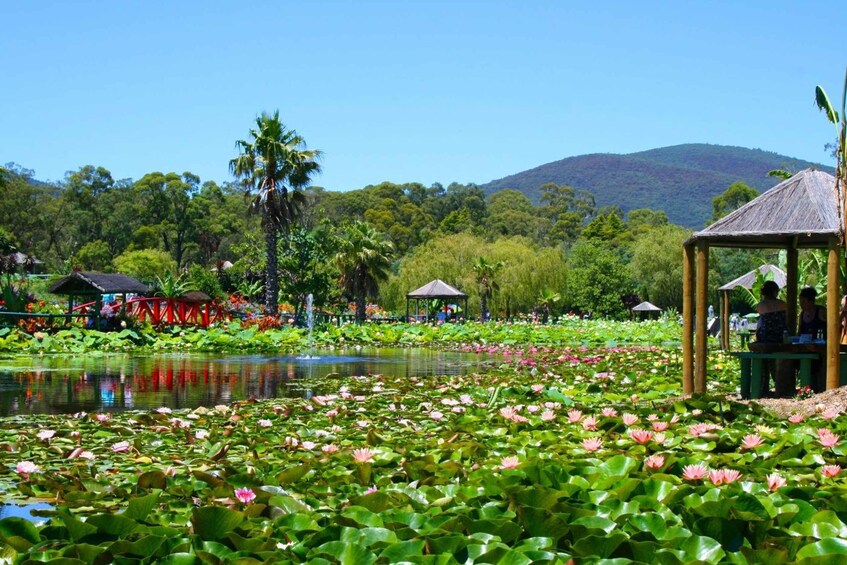 Picture 5 for Activity Siem Reap: Countryside with City Tour - By TukTuk Only