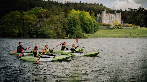 From Belfast: Sit on Top Kayak Experience