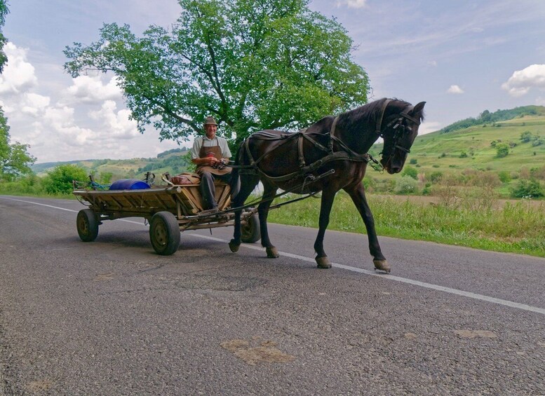 Picture 3 for Activity Sibiu: Guided Highlights E-bike Tour