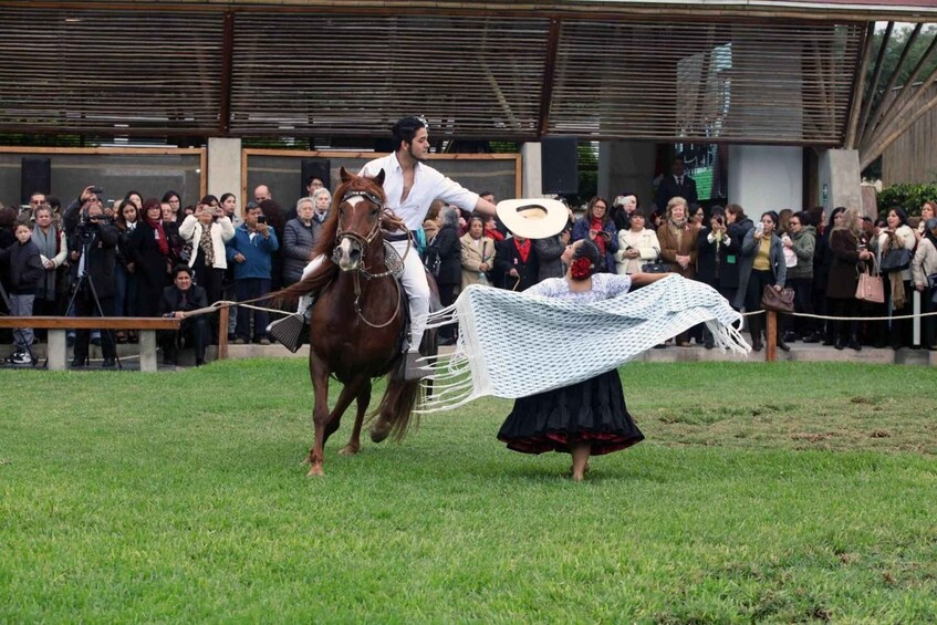 Picture 5 for Activity From Trujillo | Marinera show with Peruvian Paso horses