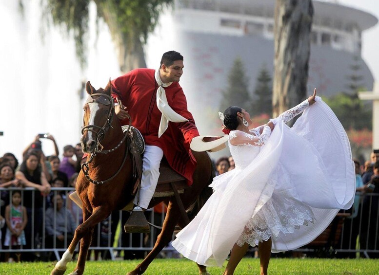 Picture 1 for Activity From Trujillo | Marinera show with Peruvian Paso horses