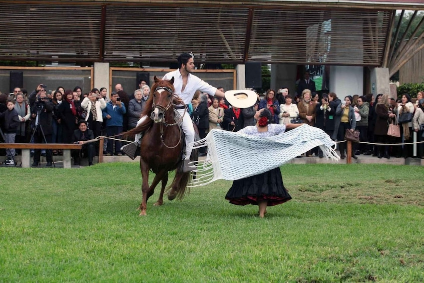 Picture 5 for Activity From Trujillo | Marinera show with Peruvian Paso horses