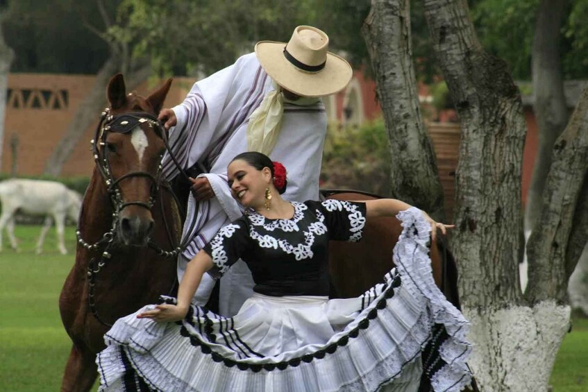 Picture 4 for Activity From Trujillo | Marinera show with Peruvian Paso horses