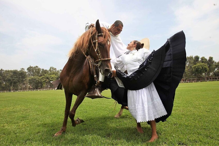 Picture 3 for Activity From Trujillo | Marinera show with Peruvian Paso horses