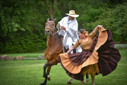 De Trujillo à Marinera, spectacle avec des chevaux de Paso péruvien