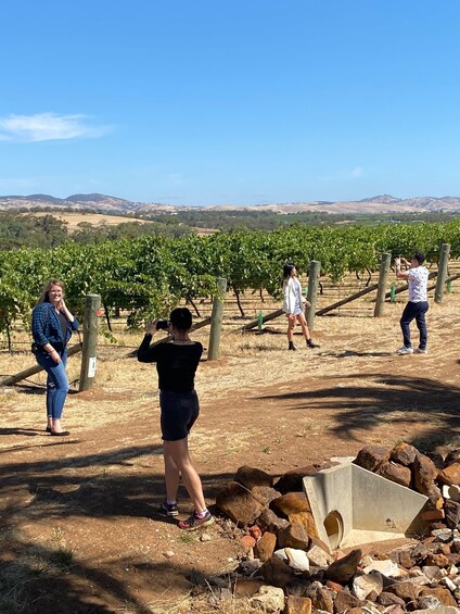 Picture 5 for Activity Barossa Valley: Full-Day VIP Barossa Valley Private Tour