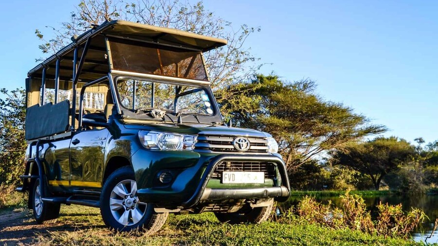 From Hoedspruit: Kruger National Park Full-Day Safari