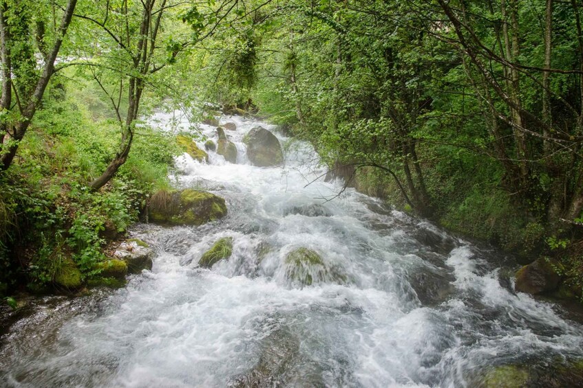 Picture 2 for Activity City Trip Struga and independent Vevchani from Ohrid