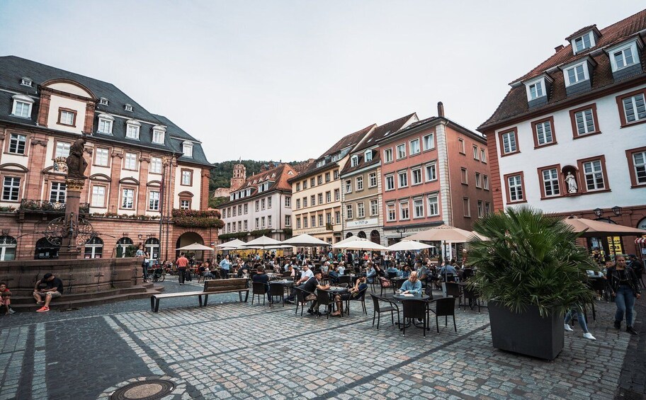 Picture 4 for Activity From Frankfurt: Day Tour to Heidelberg with Local Guide