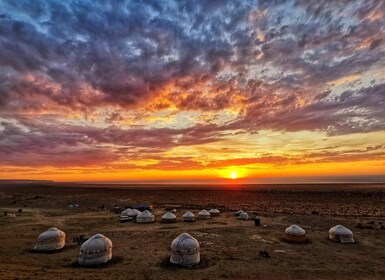 Aral Sea: discovering the environment, culture, traditions