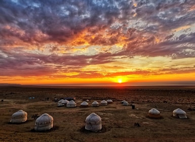 Aral Sea: discovering the environment, culture, traditions