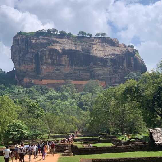 Picture 11 for Activity Colombo: Sigiriya Rock and Dambulla Cave Temple with Safari