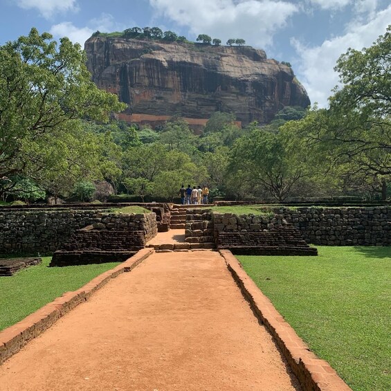 Picture 13 for Activity Colombo: Sigiriya Rock and Dambulla Cave Temple with Safari