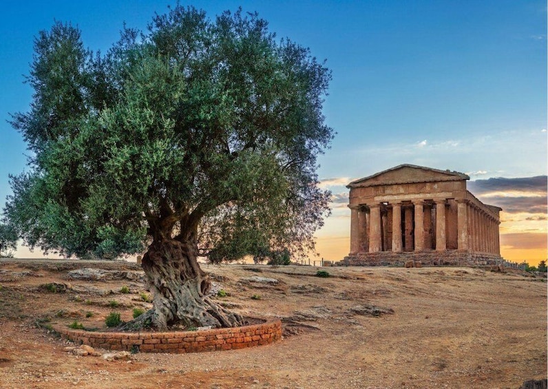 Picture 1 for Activity From Agrigento to Taormina: Valley of Temples & Roman Villa