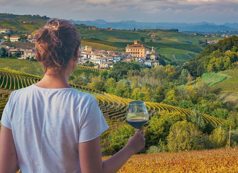 From Alba/Turin: Langhe Wine Day Trip with Tastings & Lunch