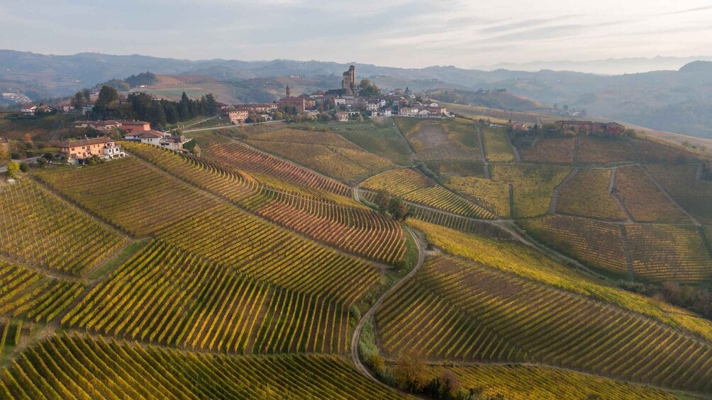 Picture 10 for Activity From Alba/Turin: Langhe Wine Day Trip with Tastings & Lunch