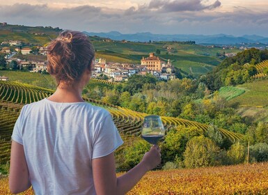 Von Alba/Turin: Langhe Wein-Tagesausflug mit Verkostungen und Mittagessen