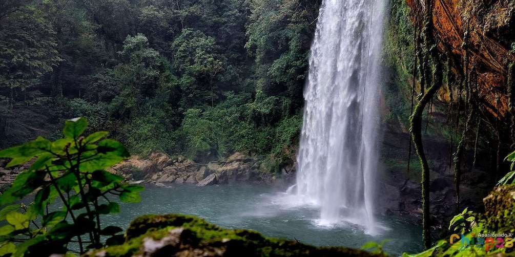 Picture 4 for Activity San Cristobal: Agua Azul, Misol Ha & Palenque Experience