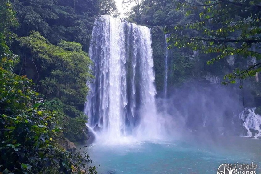 Picture 3 for Activity San Cristobal: Agua Azul, Misol Ha & Palenque Experience