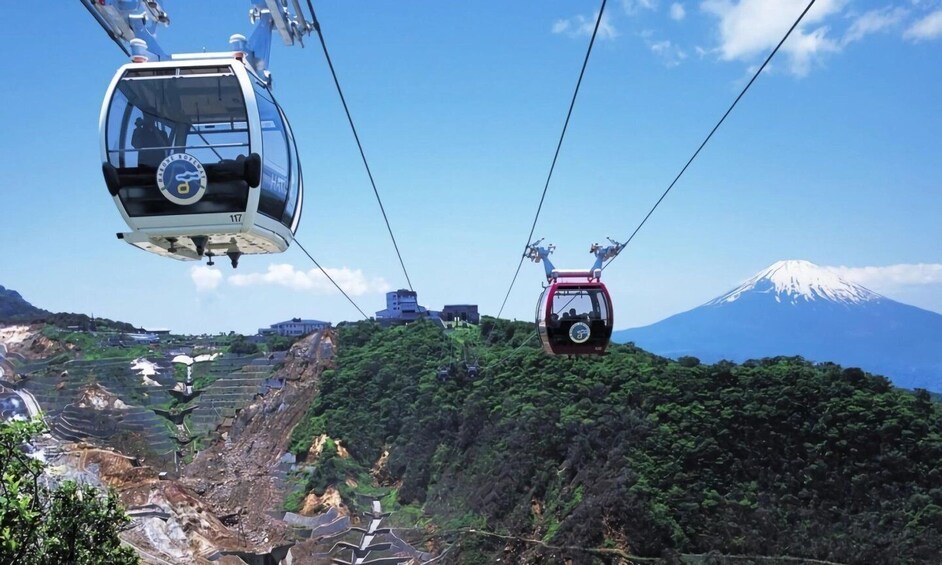 Picture 3 for Activity Tokyo: Mt. Fuji & Hakone Day Trip with Cable Car & Cruise