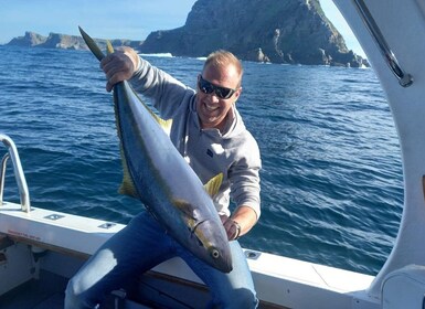 Simon's Town: Fishing Charter Boat