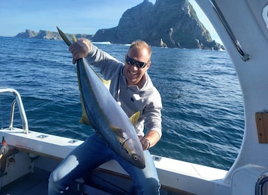 Simon's Town: Fishing Charter Boat