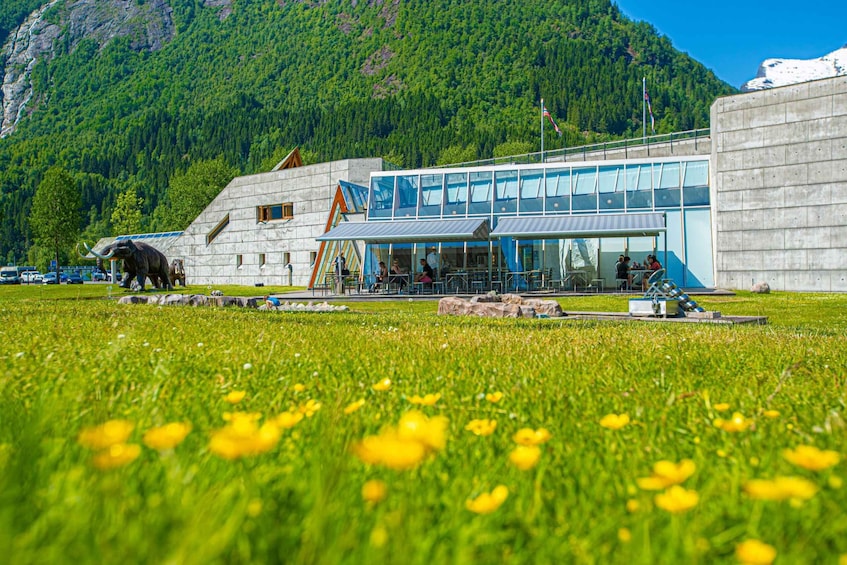 Picture 8 for Activity From Balestrand: Guided Fjord & Glacier Tour to Fjærland