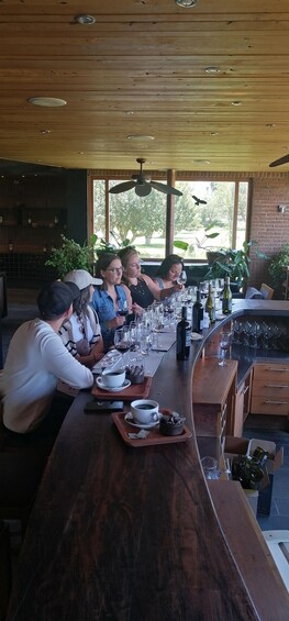 Picture 15 for Activity Organic wine route traditional chilean lunch and Valparaiso