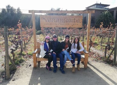 Organic wine route traditional chilean lunch and Valparaiso