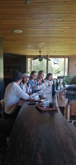 Picture 16 for Activity Organic wine route traditional chilean lunch and Valparaiso