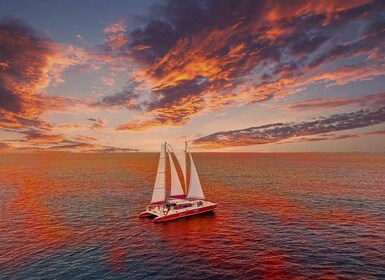 Oranjesta: Sunset Cruise to Boca Catalina with BBQ Dinner