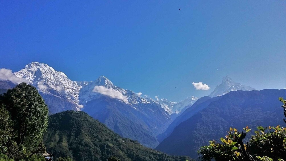 Mohare Danda Trek