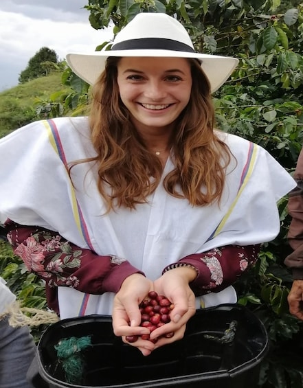 Picture 6 for Activity Medellín Coffee Farm Tour with Trolley and Cable Car Ride