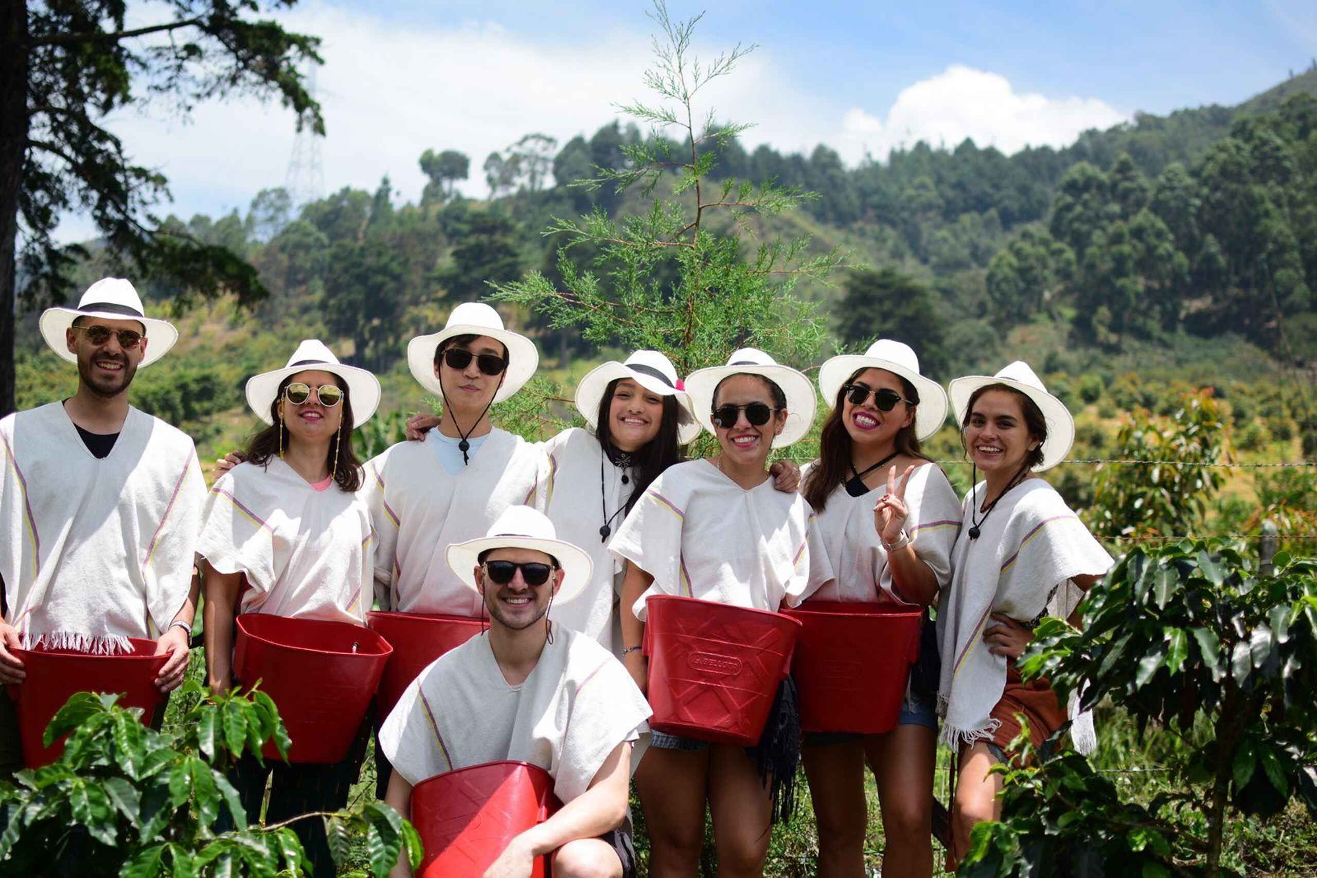 Medellín Coffee Farm Tour with Trolley and Cable Car Ride