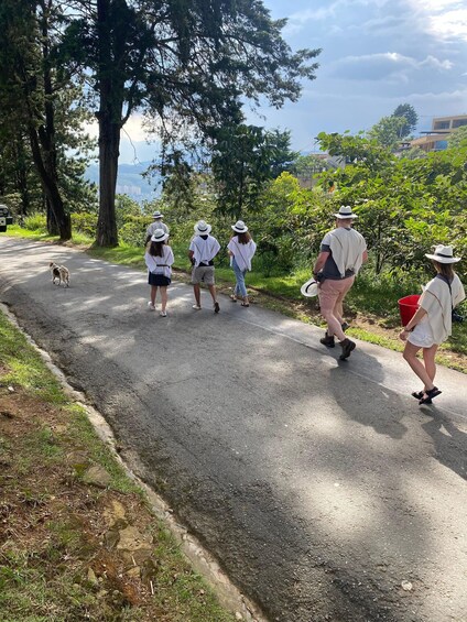 Picture 14 for Activity Medellín Coffee Farm Tour with Trolley and Cable Car Ride