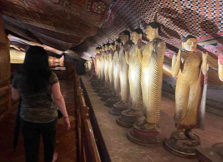 Picture 3 for Activity Sigiriya and Dambulla Day Tour from Galle Bentota
