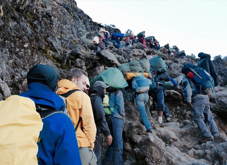 Picture 3 for Activity Kilimanjaro National Park – Shira Plateau, one day hike