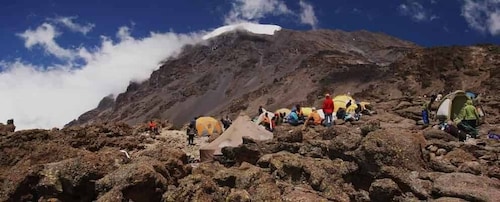 Parco Nazionale del Kilimangiaro - Altopiano di Shira, escursione di un gio...