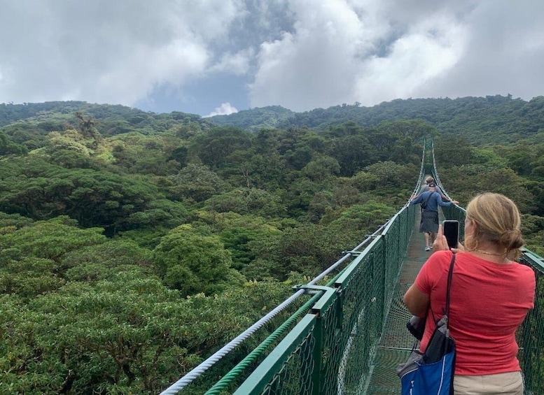 Picture 2 for Activity Monteverde or Santa Elena: Suspension Bridges Private Tour