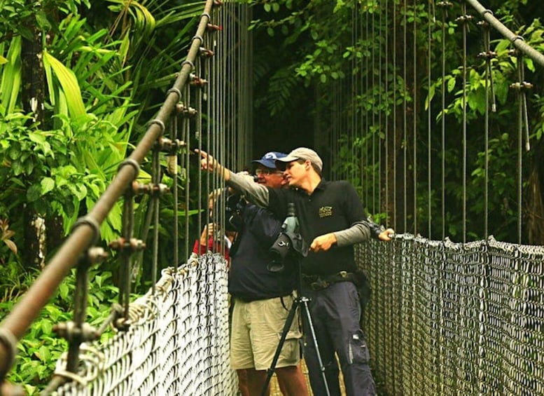 Picture 1 for Activity Monteverde or Santa Elena: Suspension Bridges Private Tour